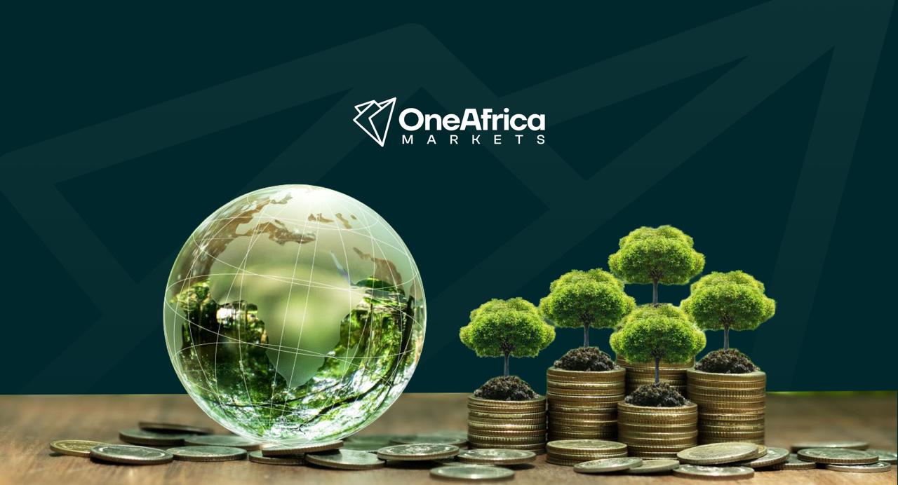 Africa’s Next Financial Innovation Could Be Debt-for-Nature Swaps