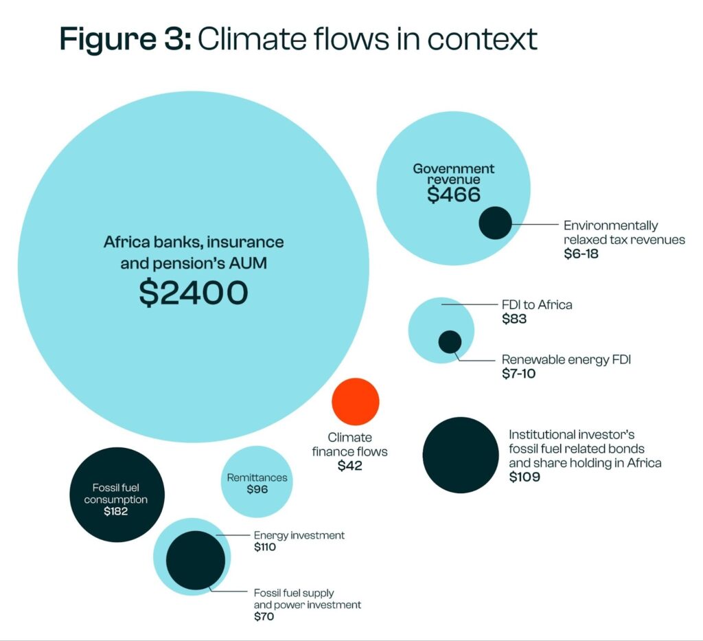 Africa’s Next Financial Innovation Could Be Debt-for-Nature Swaps